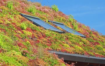Mid Ho living roof systems